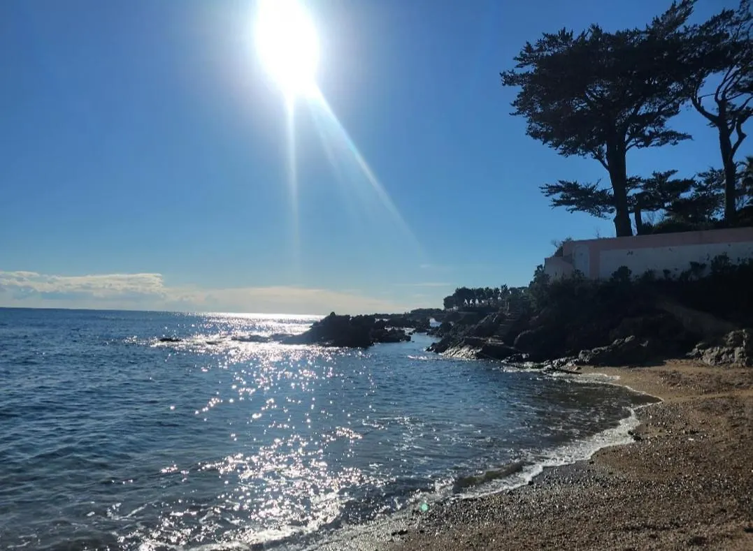 Apartment Petit Appartement A 50M A Pied De La Mer Frejus
